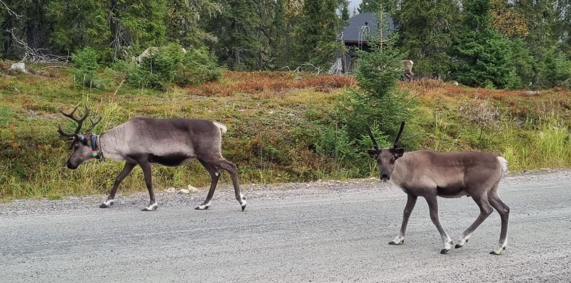 Keloporo - Rukan Moekit Esterno foto